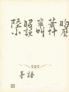 陆昭宁萧昀正版小说叫什么名字