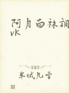 阿月白袜调教丨vk