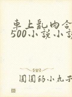 车上乱肉合集乱500小说小说封面