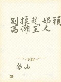 别揉我奶头嗯啊高潮主人封面