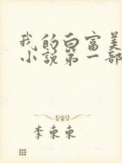 我的白富美老婆小说第一部