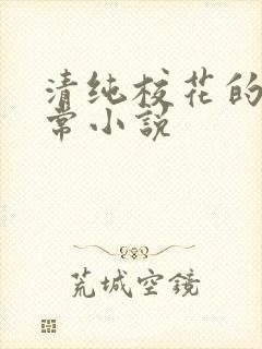 清纯校花的被日常小说