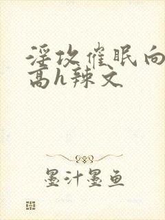 淫攻催眠向np高h辣文