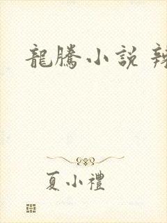 龙腾小说 辣文