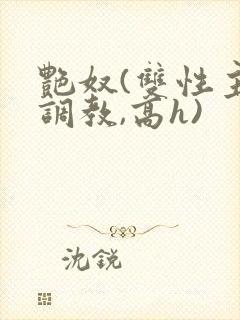 艳奴(双性主奴调教,高h)