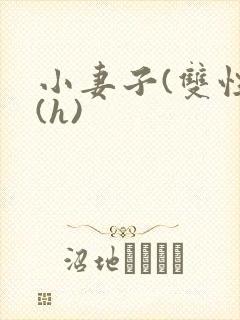 小妻子(双性)(h)