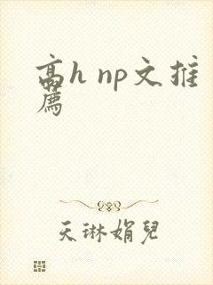 高h np文推荐