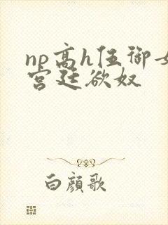 np高h伍御女宫廷欲奴