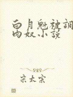 白月魁被调教成肉奴小说