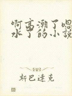 啊高潮了嗯～喷水了的小说