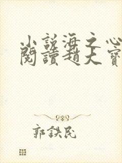 小说海之心在线阅读赵大宝