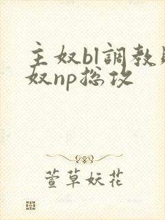 主奴bl调教贱奴np总攻