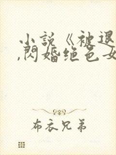 小说《被退婚后,闪婚绝色女总裁》