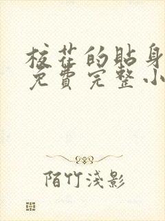 校花的贴身高手免费完整小说封面