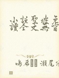 小说圣墟免费阅读全文无窗口