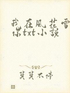 我在风花雪月等你txt小说