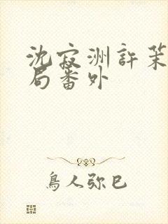 沈寂洲许茉大结局番外