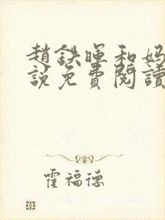 赵铁晖和妈妈小说免费阅读封面