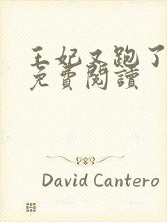 王妃又跑了全文免费阅读