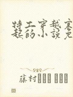 特工穿越寒门崛起的小说免费阅读