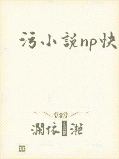 污小说np快穿