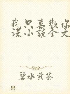 我只喜欢你的人没小说全文免费阅读