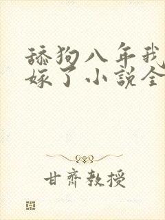 舔狗八年我转身嫁了小说全文免费阅读正版封面