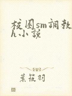 校园sm调教高h小说封面