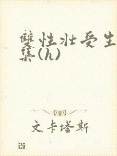 双性壮受生子合集(h)