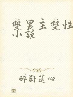 双男主双性高皇小说封面