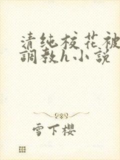 清纯校花被地狱调教h小说