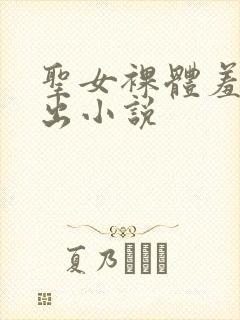 圣女裸体羞耻露出小说