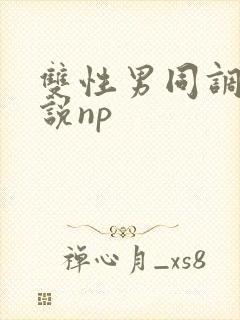 双性男同调教小说np