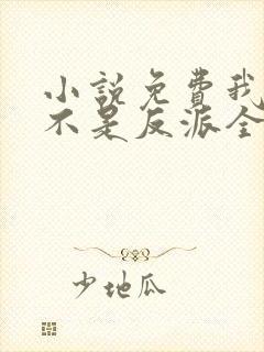 小说免费我真的不是反派全文阅读