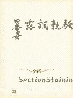 暴露调教骚货娇妻