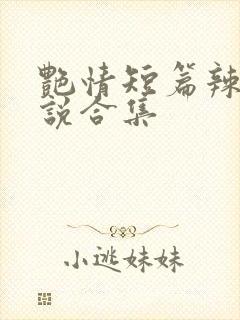 艳情短篇辣文小说合集