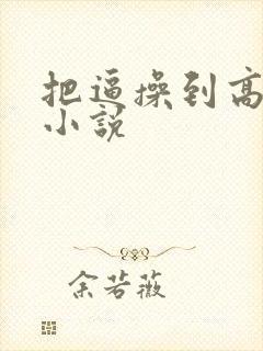 把逼操到高潮的小说