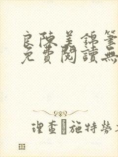 良陈美锦笔趣阁免费阅读无弹窗