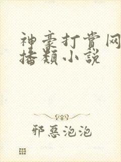 神豪打赏网络主播类小说