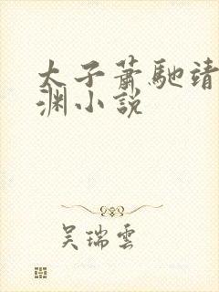 太子萧驰靖王萧渊小说