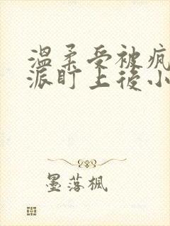 温柔受被疯批反派盯上后小说免费阅读