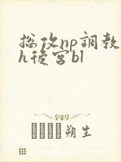 总攻np调教高h后宫bl