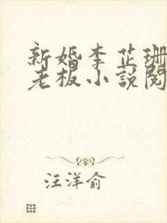 新婚李芷珊与菜老板小说阅读封面