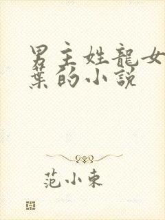 男主姓龙女主姓叶的小说封面