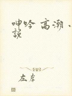 呻吟 高潮 小说