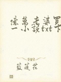 亿万老婆买一送一小说txt下载