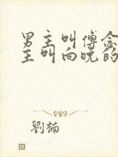 男主叫傅念琛女主叫向晚的小说