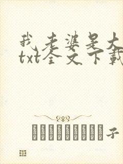我老婆是大明星txt全文下载
