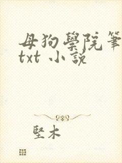 母狗学院笔趣阁txt 小说