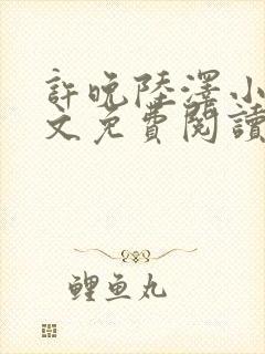 许晚陆泽小说全文免费阅读